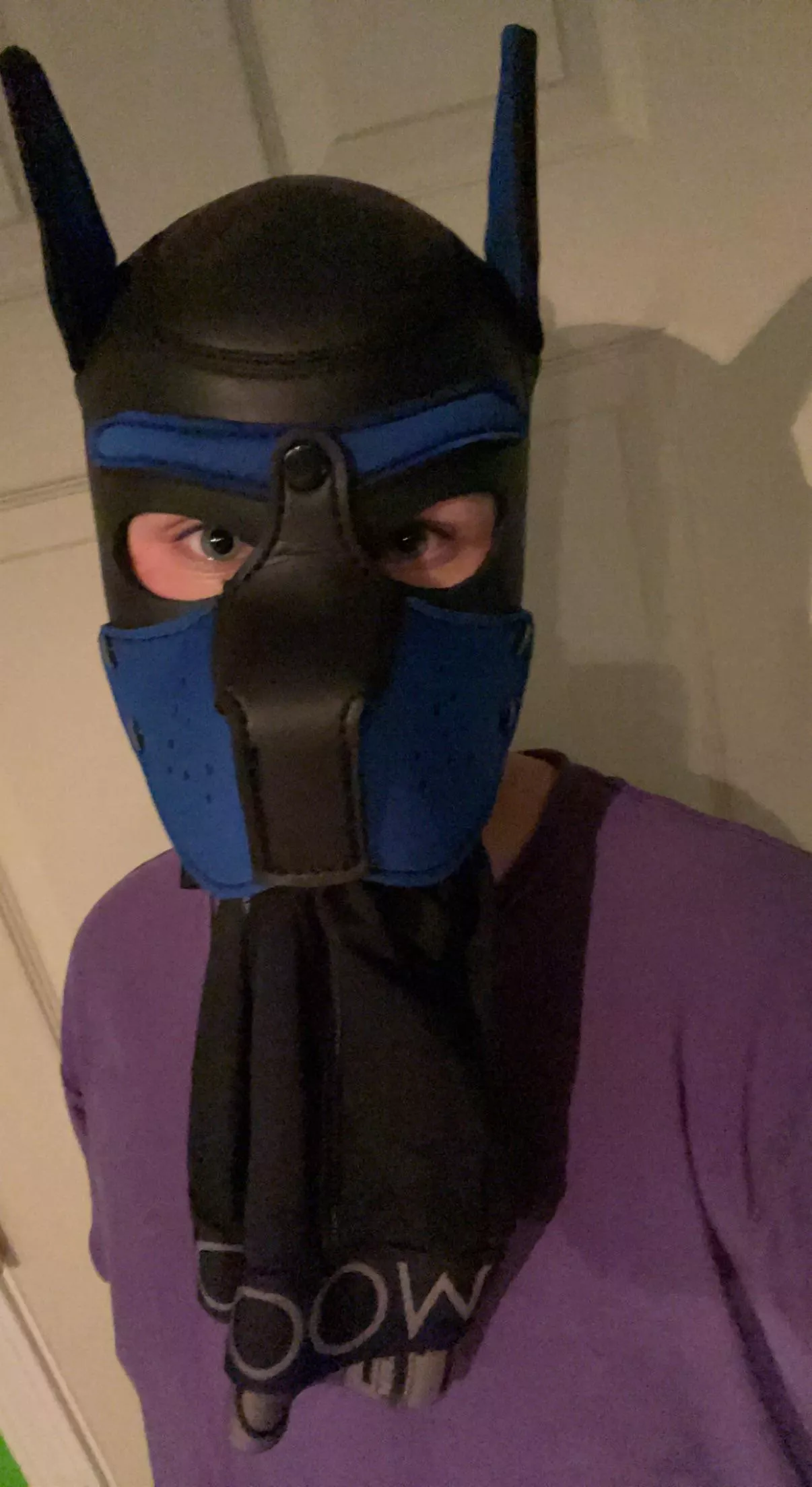 Need these underwear back? UwO