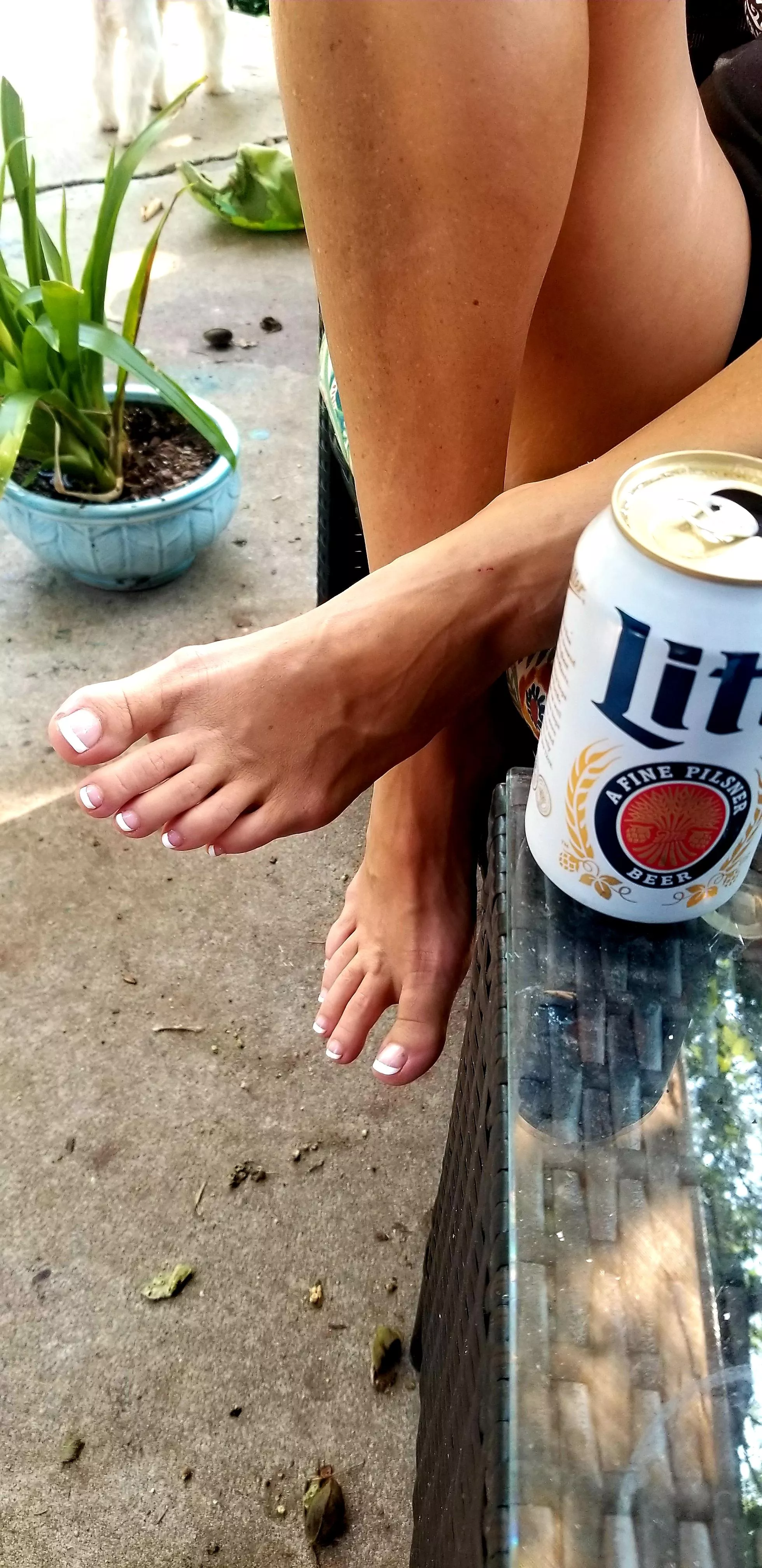 Needing a slave to suck my toes! Needing a slave to suck my toes!