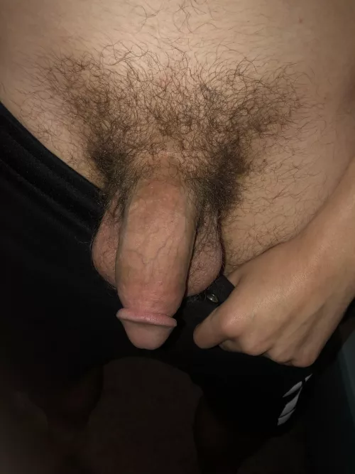 needs a shave