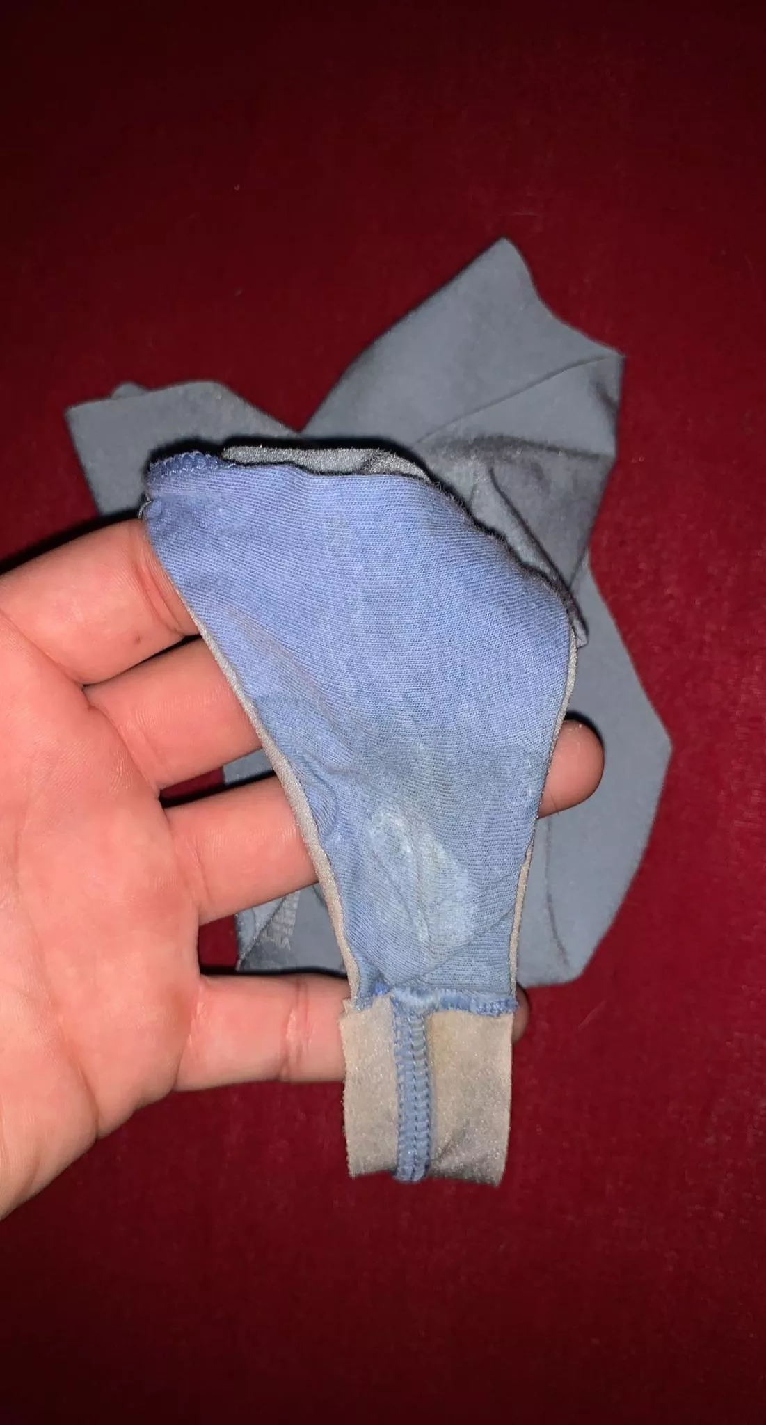 neighbors are having me house sit hot college daughters and hot milf mother what do you guys wanna see?