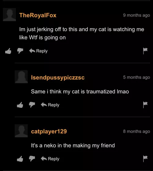 Neko training