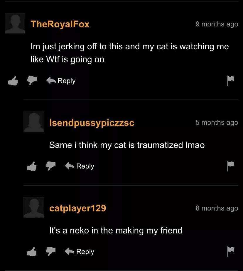 Neko training Neko training