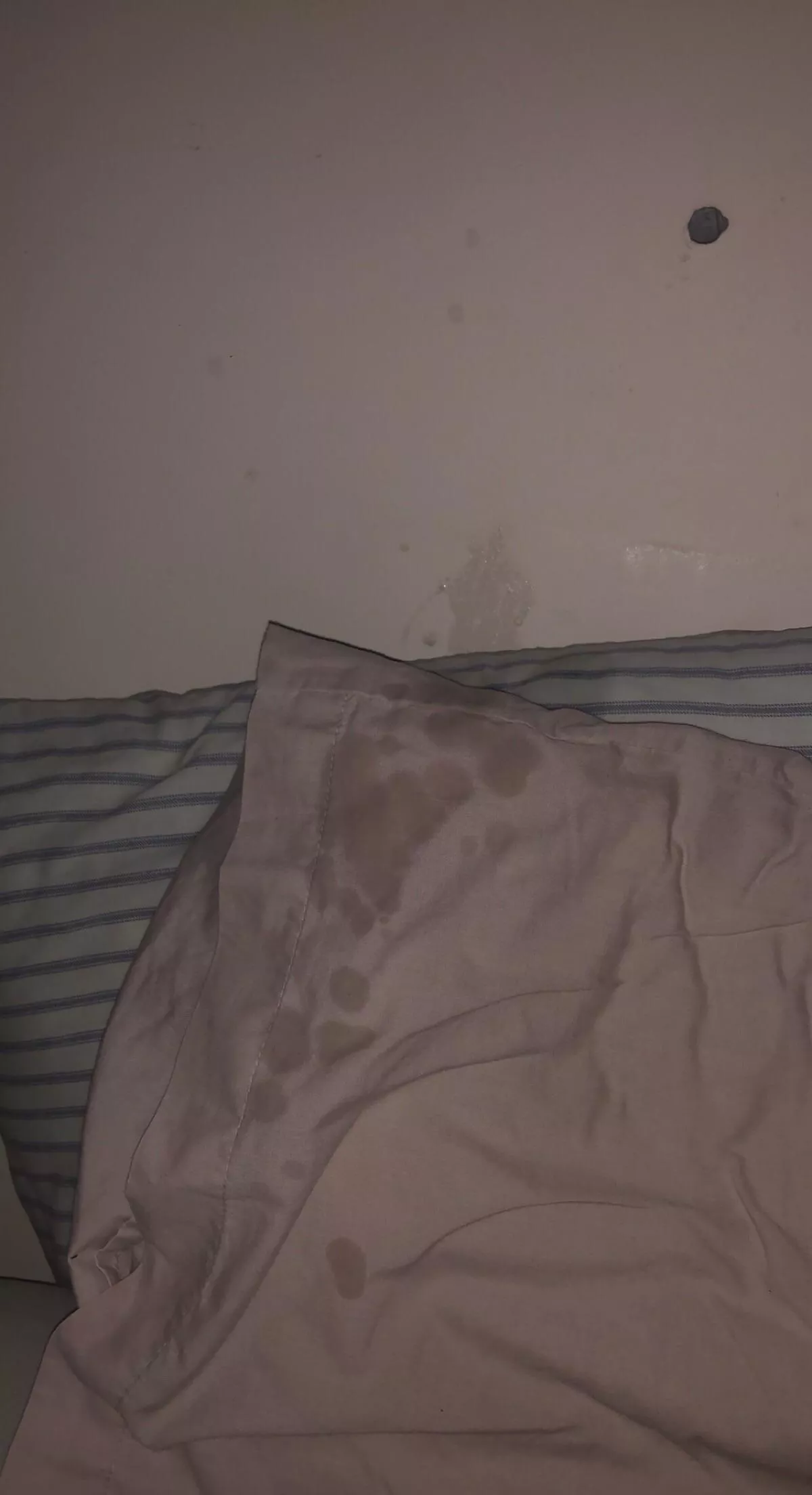 Never have I ever cum this hard in my life! Someone pass me a mf drink!