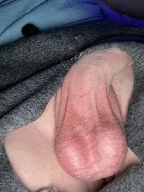 New account, same big balls. Dms always open. New account, same big balls. Dms always open.