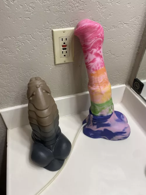 New additions to the family… oh the fun we will have New additions to the family… oh the fun we will have