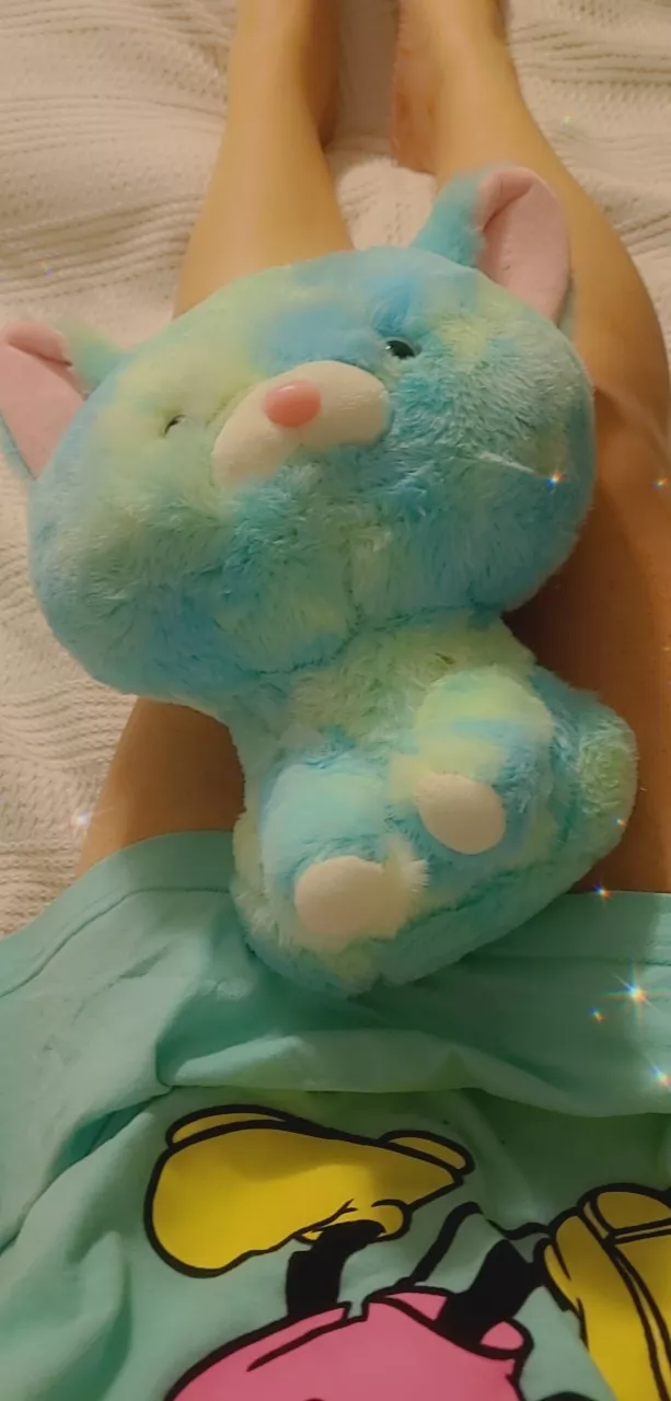 New aminal! Affectionately named it Nubs