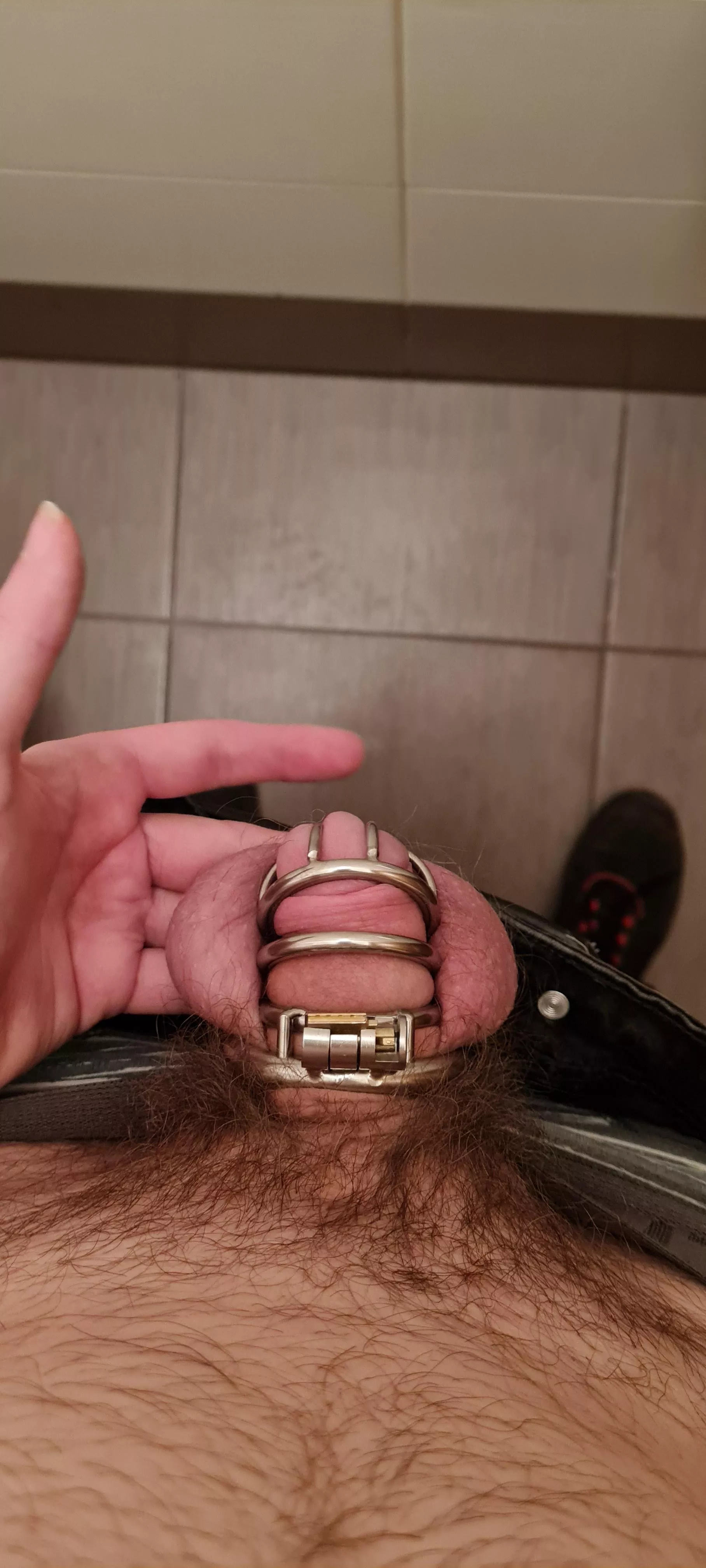 New cage, tight fit, but so far so good ^^ How long should I stay locked for?