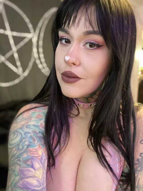 New collar, same brat π