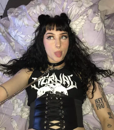 New collar ๐ should i get more of them?