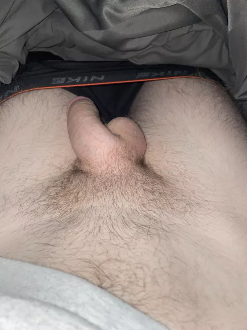 New Cut, anyone wanna try him out?