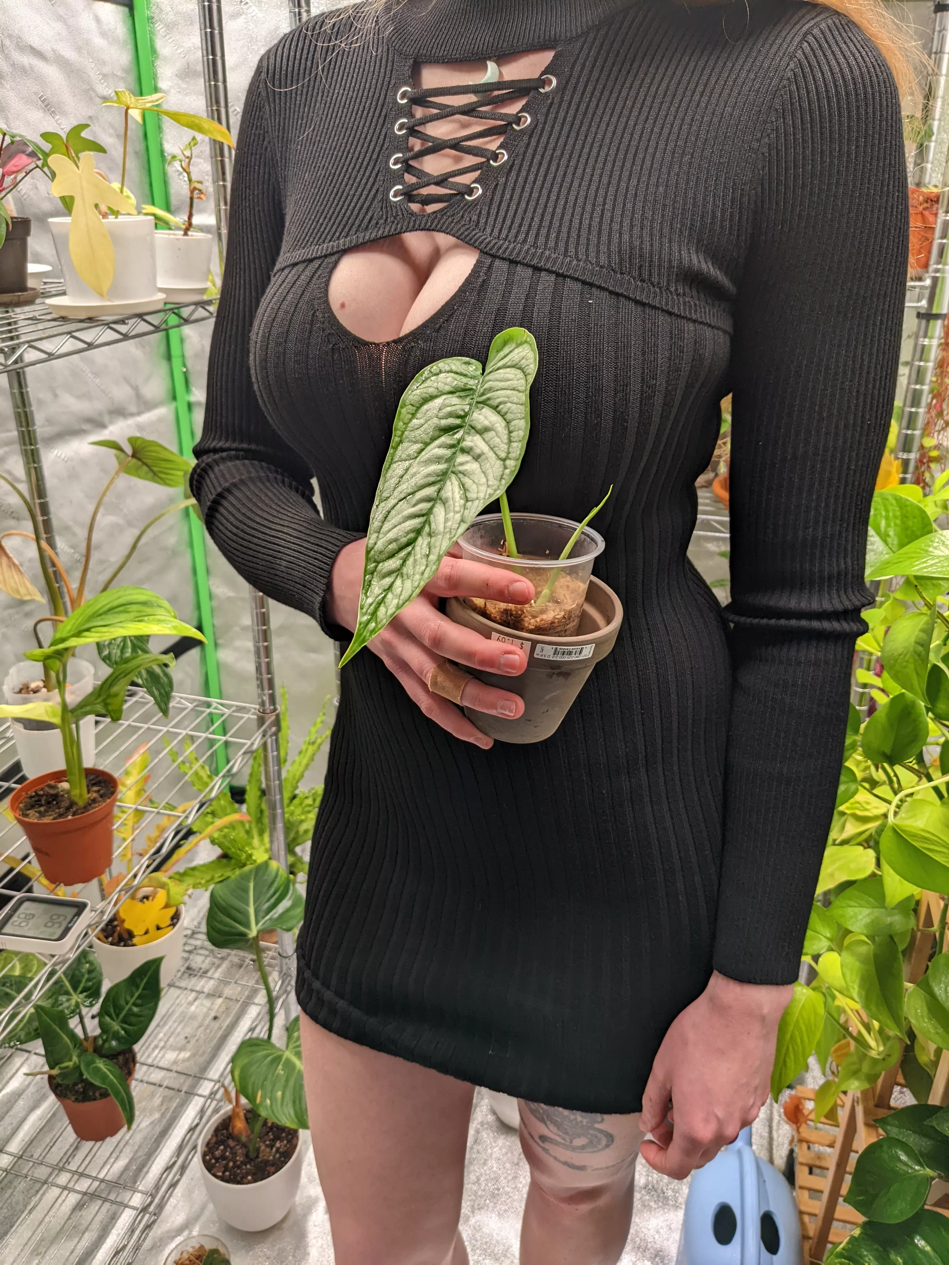 New dress, tight enough? I have something else nice and tight for you <3