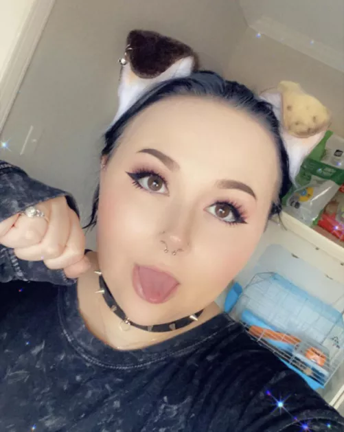 New ears and collar, ruff~!