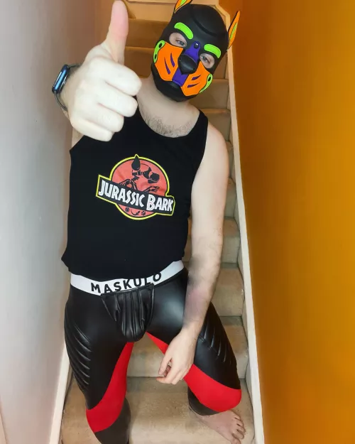 New gear arrived! Woof 💜💚🧡