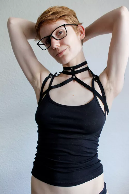 New harness! ^^ New harness! ^^