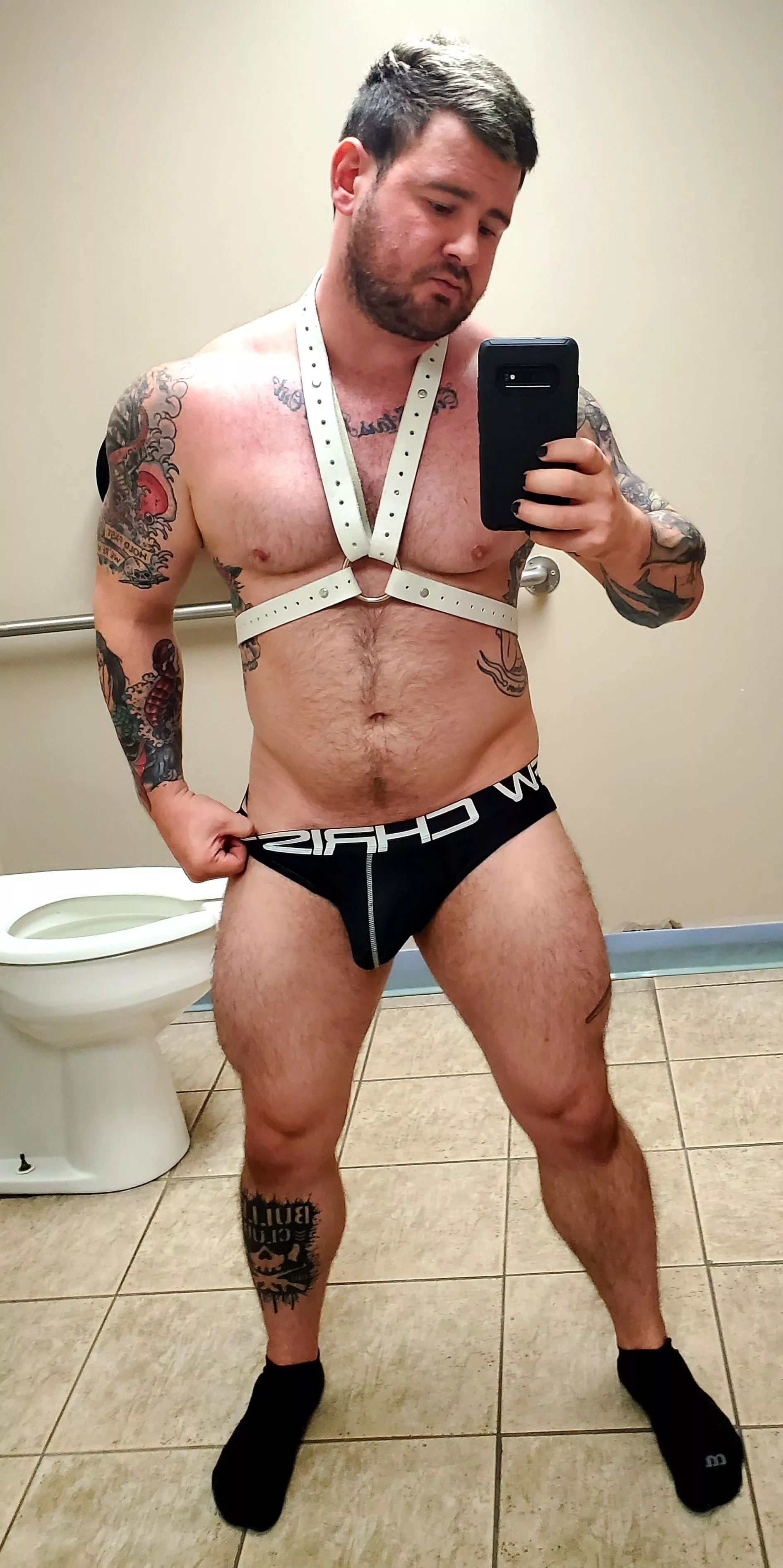 New harness! Figured I'd wear it in public ;) New harness! Figured I'd wear it in public ;)