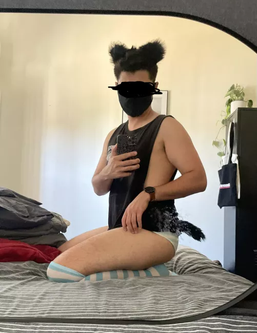 New here, are dirty mirrors and dirty pets allowed?