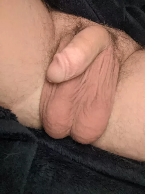 New here! (OC) / M26