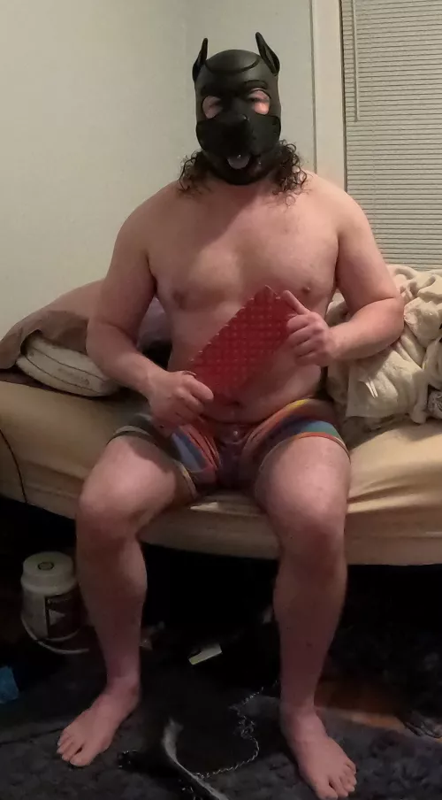 New pup here saying hi.