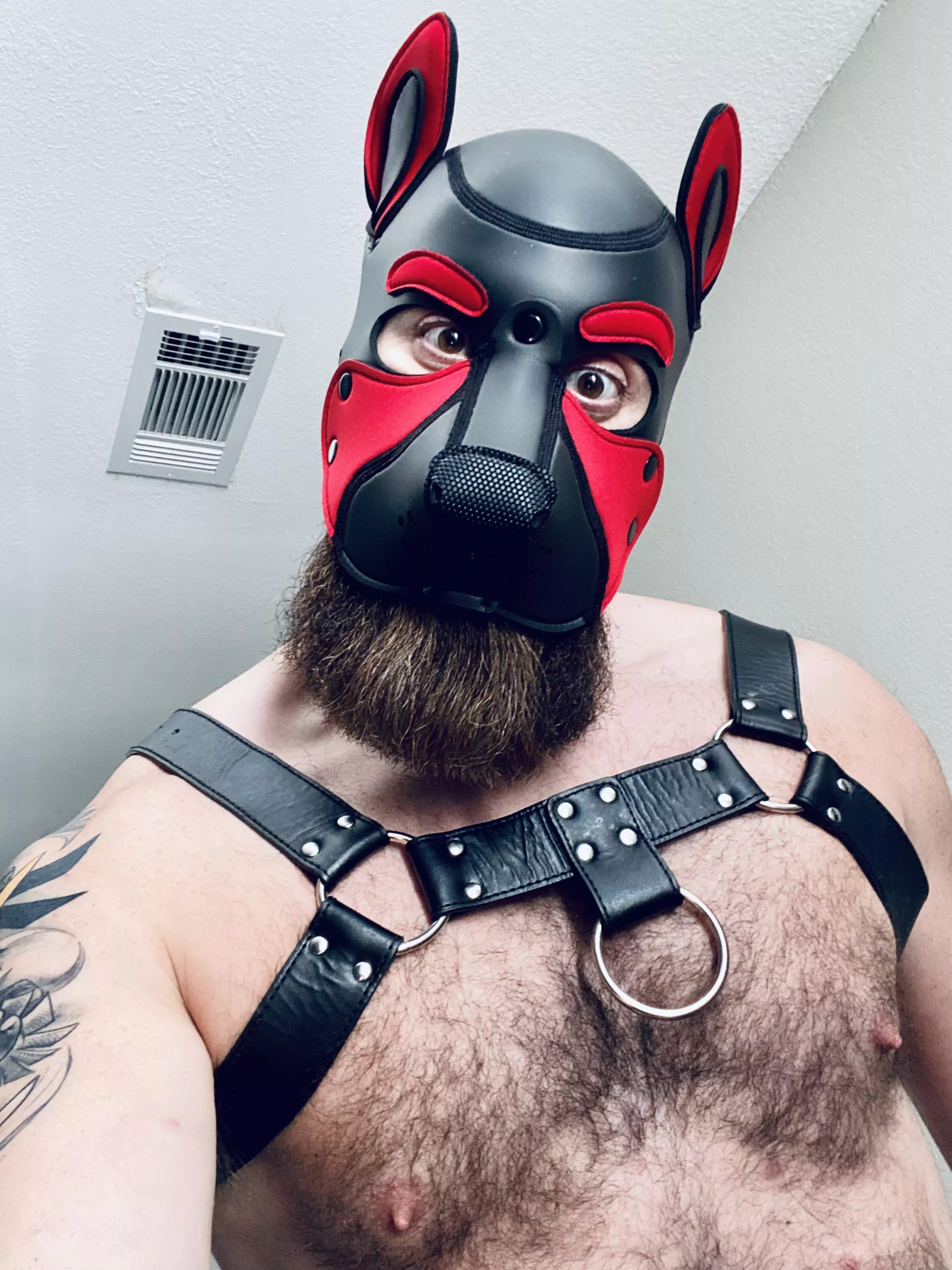 New to the Subreddit! Arruffff