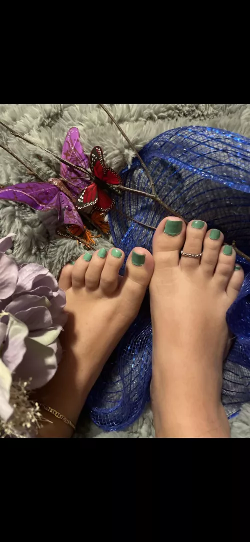 New to this and wandering what you think of my wasian toes?