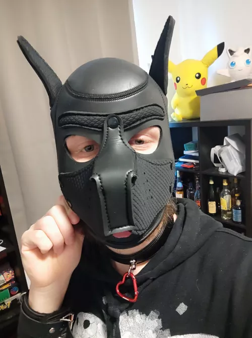 New to this, but loving it so far!