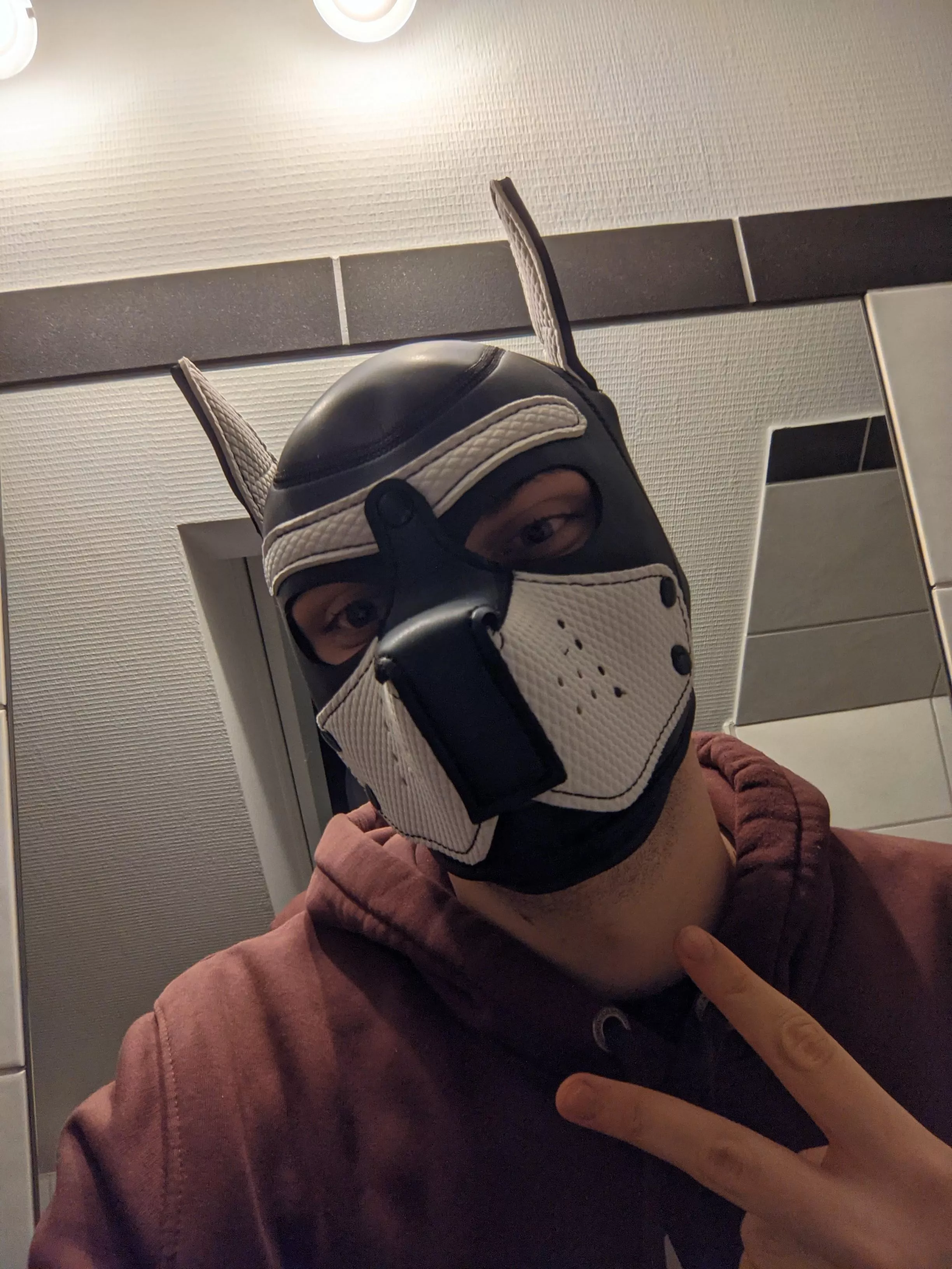 new wolf pup on the block, hope i'm welcome 🐺