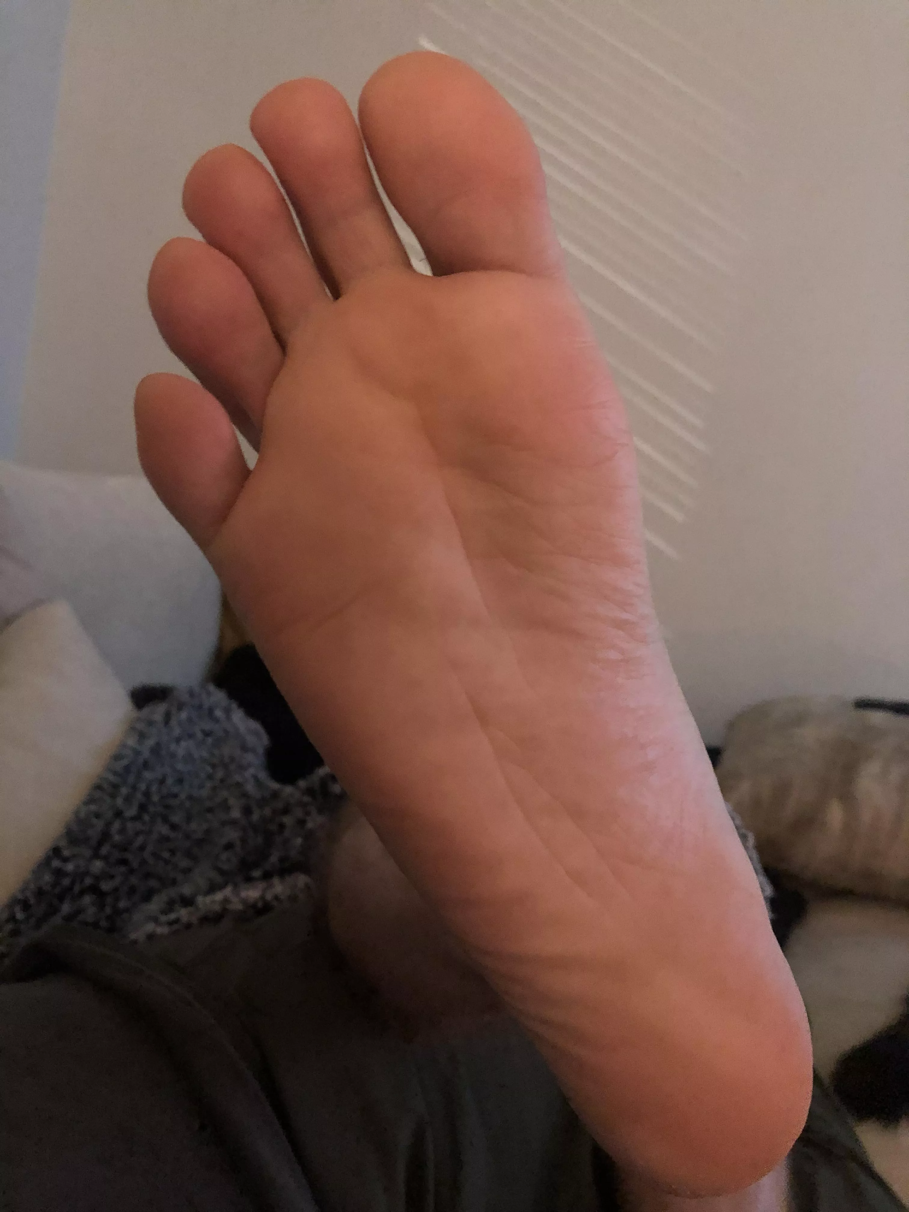 New Year and New Here!