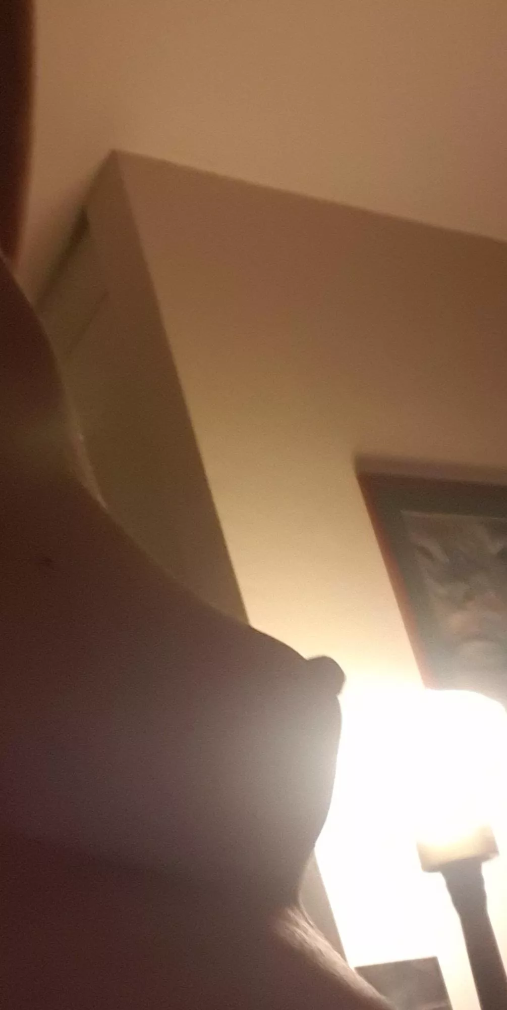New year boob New year boob