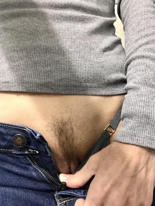 New year gift