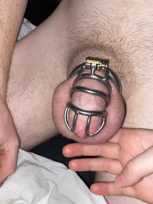 New year, new smaller cage. Happy new yearπ