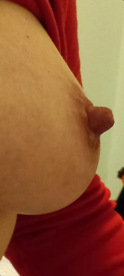 New year nip New year nip