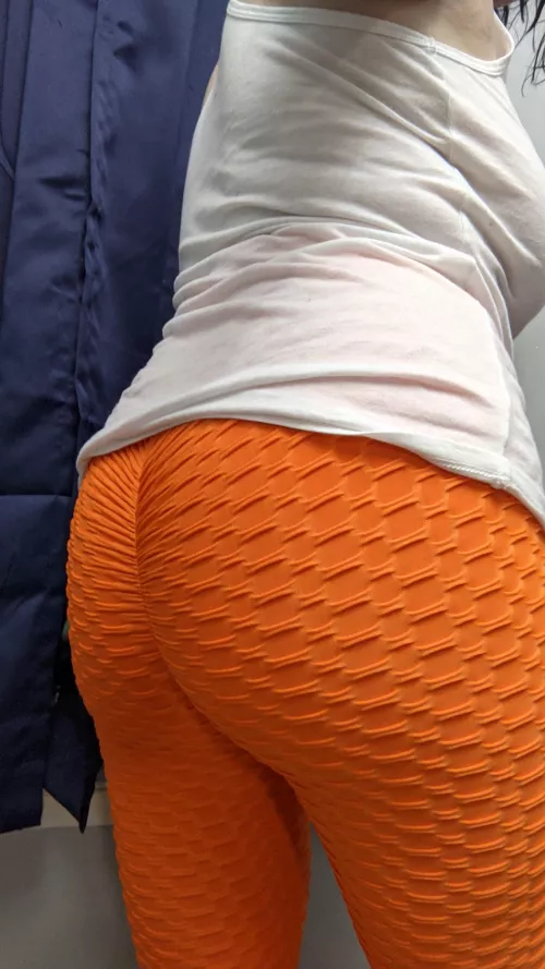 newbie do you like my butt newbie do you like my butt