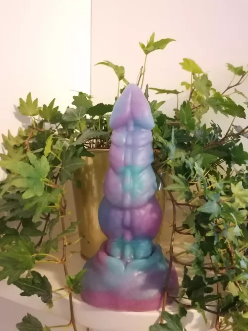 Newest arrival: Nova Newest arrival: Nova