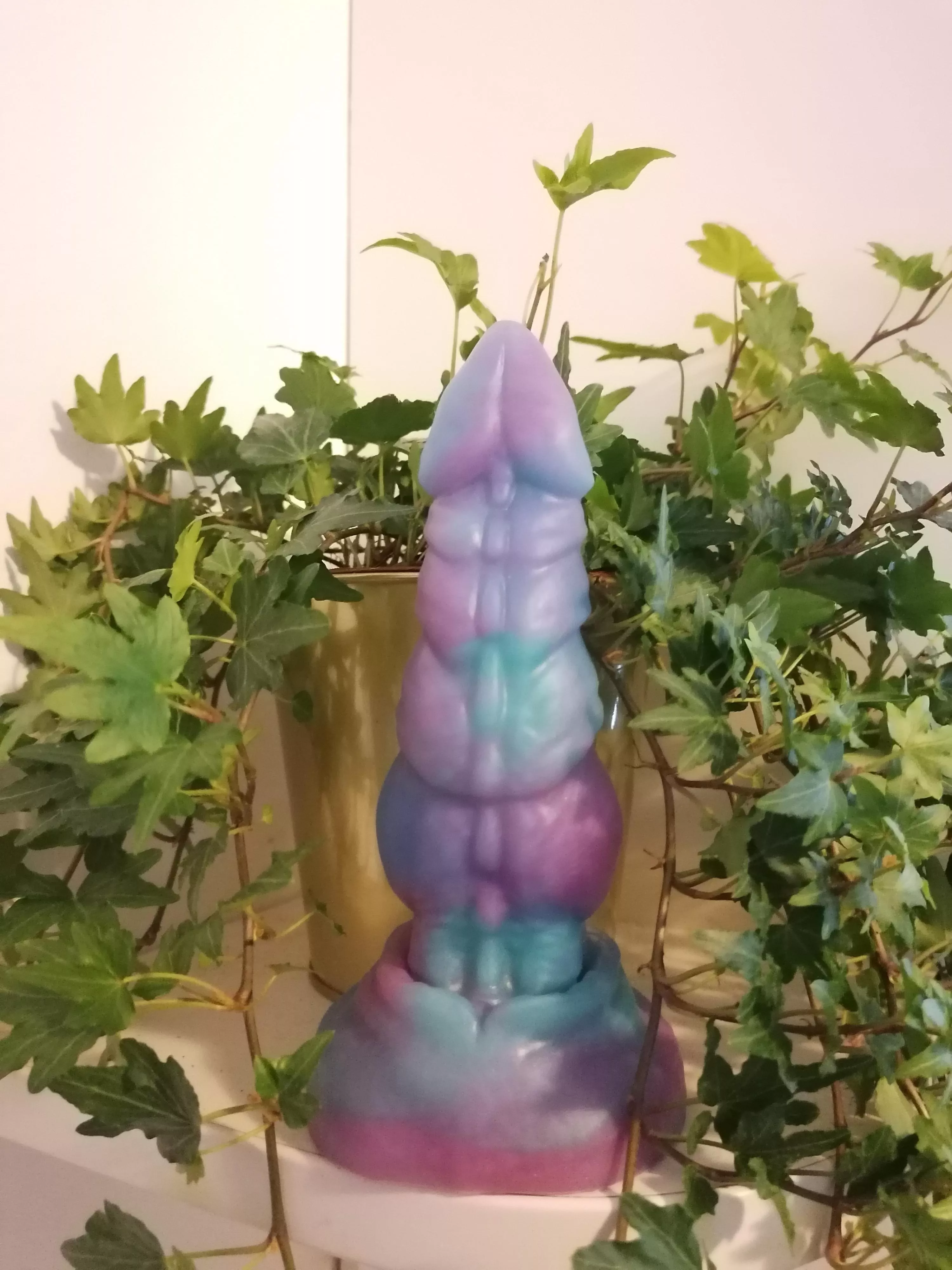 Newest arrival: Nova