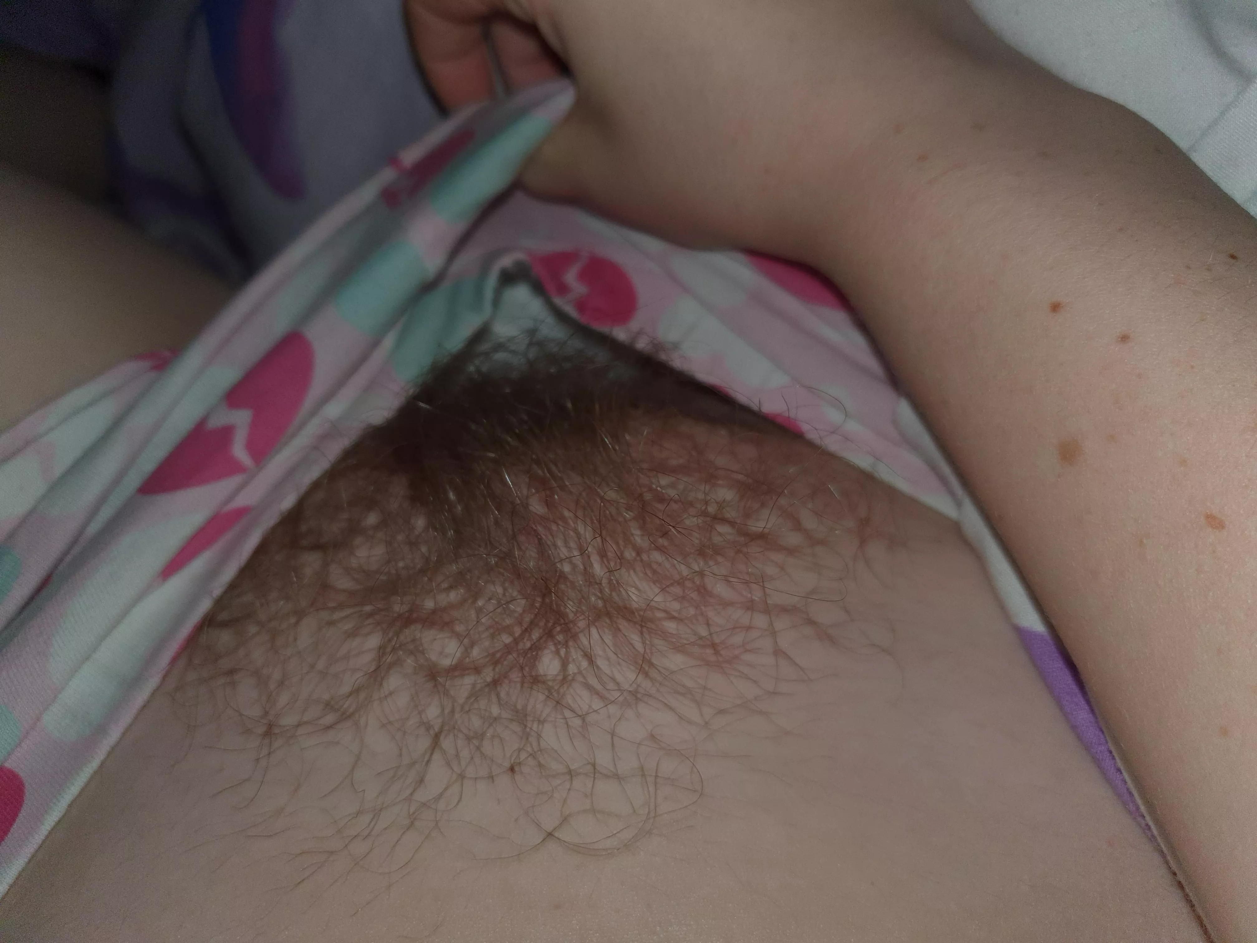 Nice hairy pussy for you
