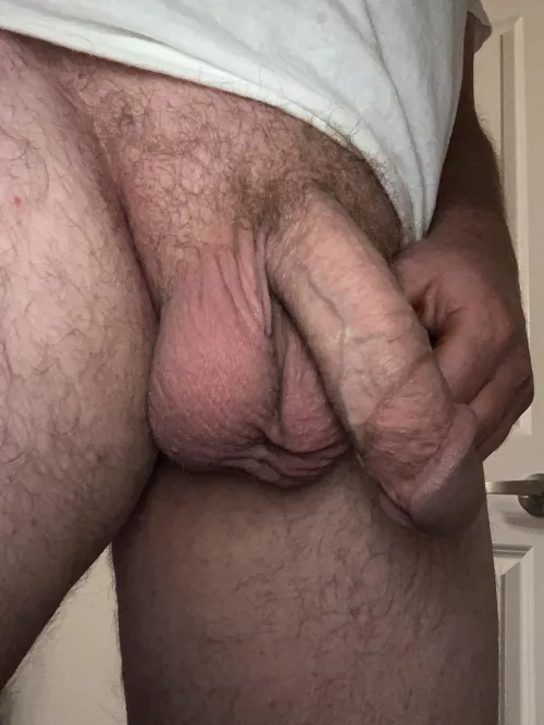 Night
