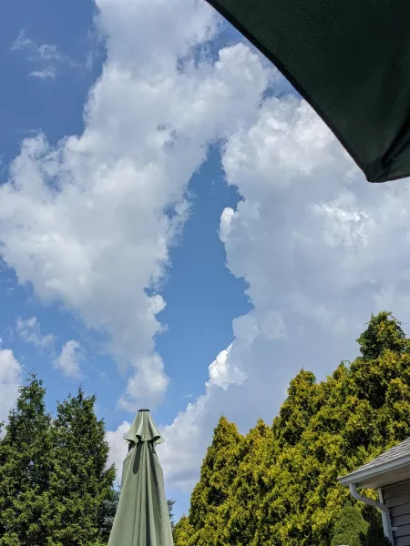 No caption needed for this pic on this sub. No caption needed for this pic on this sub.