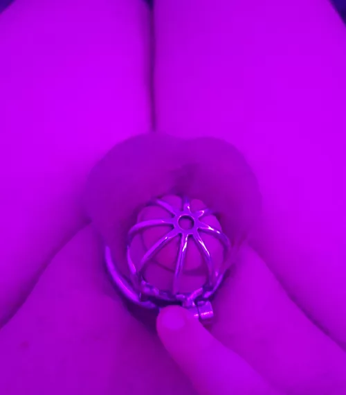 No matter how much I try, I always come back. No matter how much I try, I always come back.