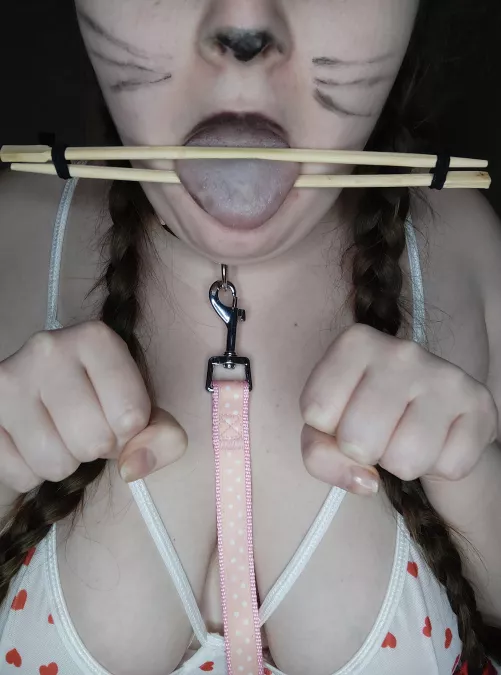 No talking. Just meowing.