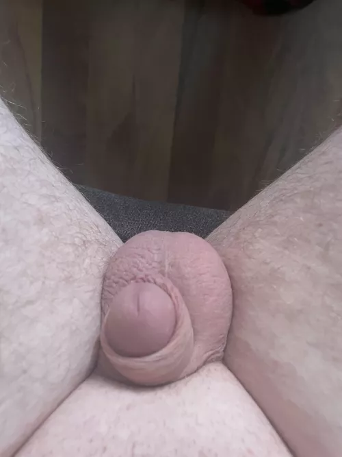 Not even gonna attempt the tp roll challenge ๐๐