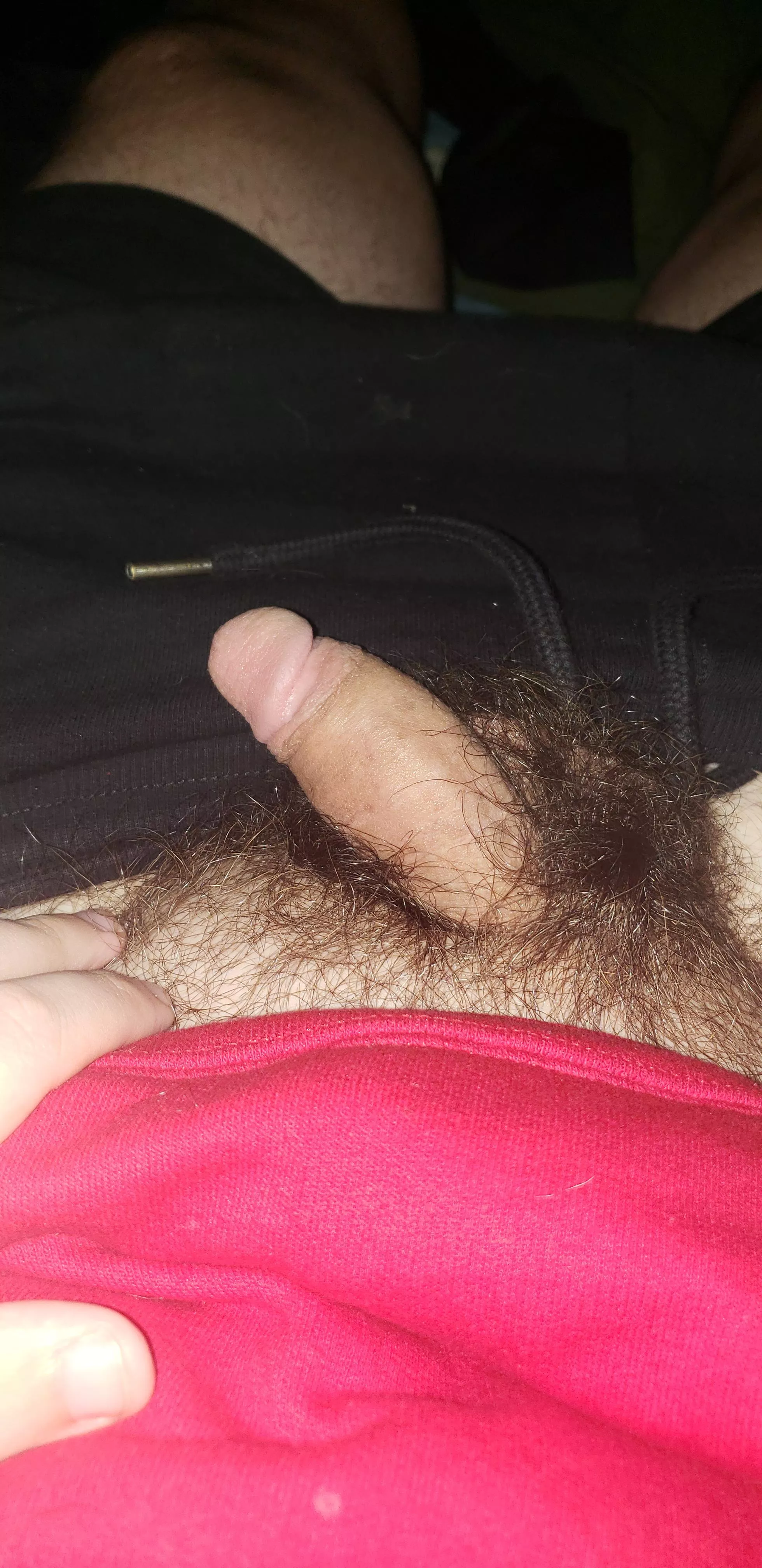 Not hard looking for a daddy