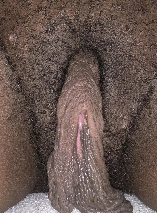Not only can you suck on my big clit but my long pussy lips too!! Please make sure to follow ! I’ll be spreading my pussy lips at 1.5k