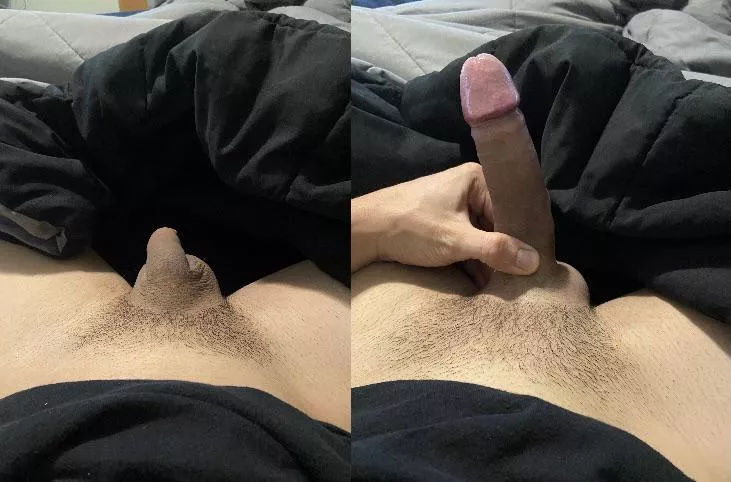 Not so big but the difference surprises me sometimes Not so big but the difference surprises me sometimes