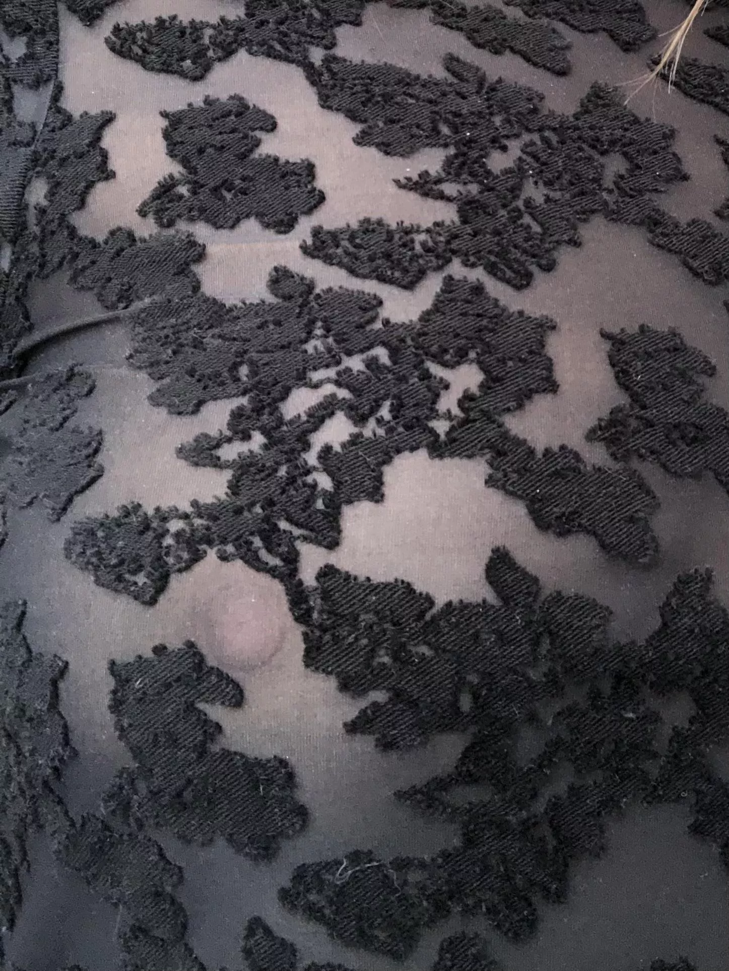 Not so hidden embellishments