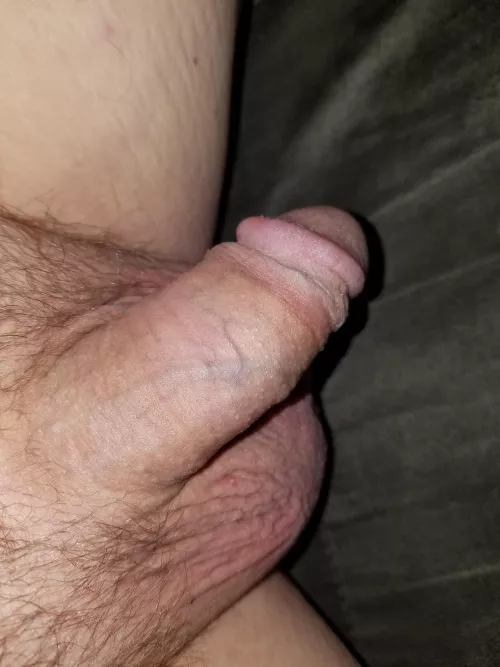 not super hairy and doesn't help i like my balls shaved. not super hairy and doesn't help i like my balls shaved.