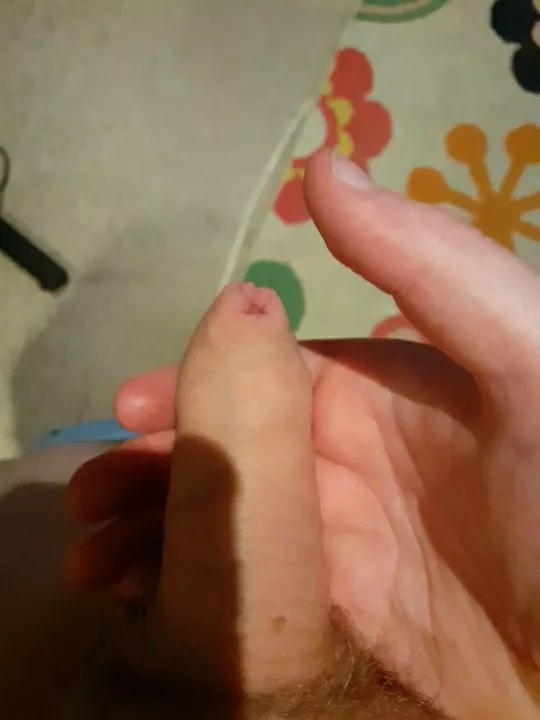 Not super hung or anything, but I'd like some honest thoughts! Not super hung or anything, but I'd like some honest thoughts!