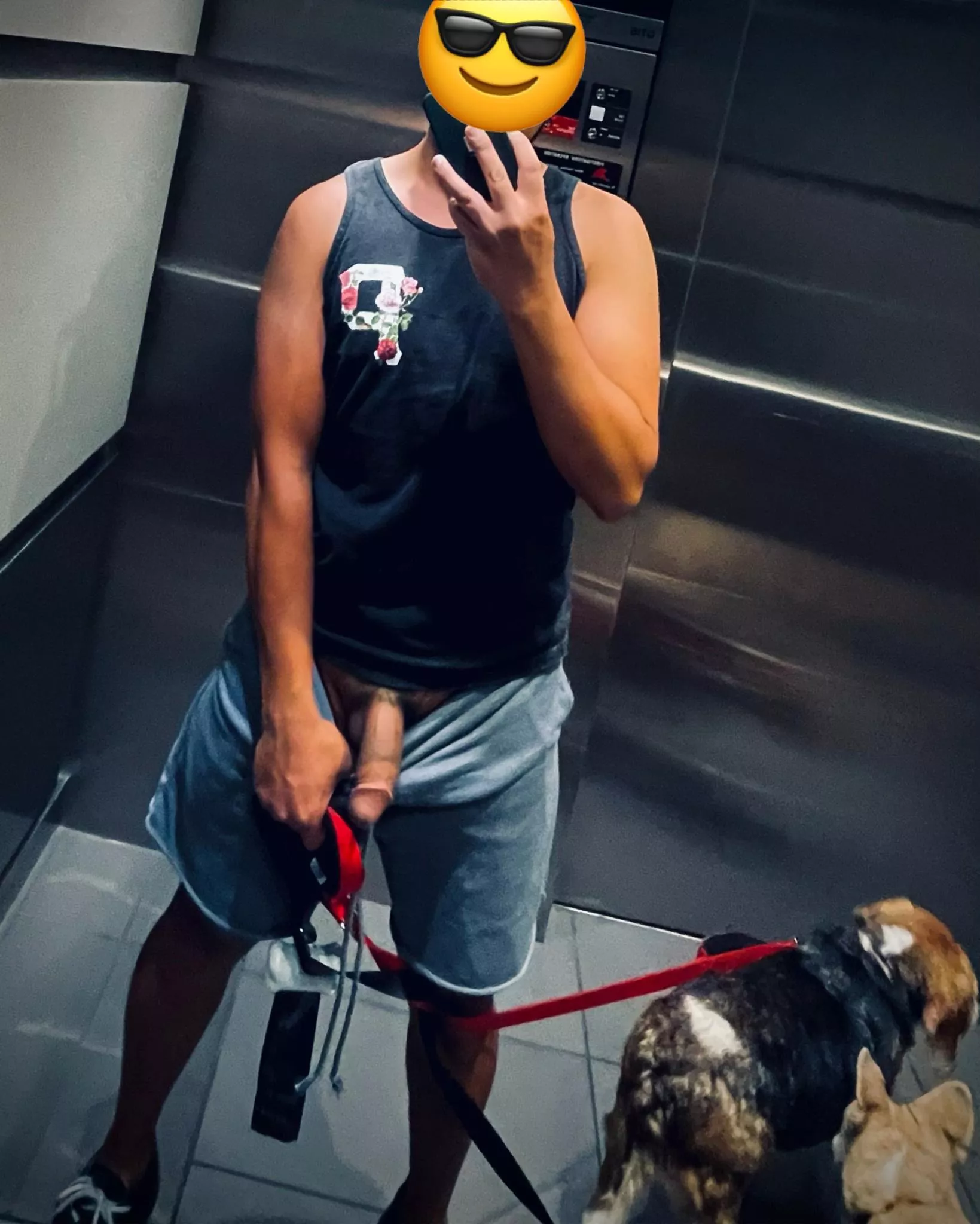 Now offering cock with my dog walking services 😉