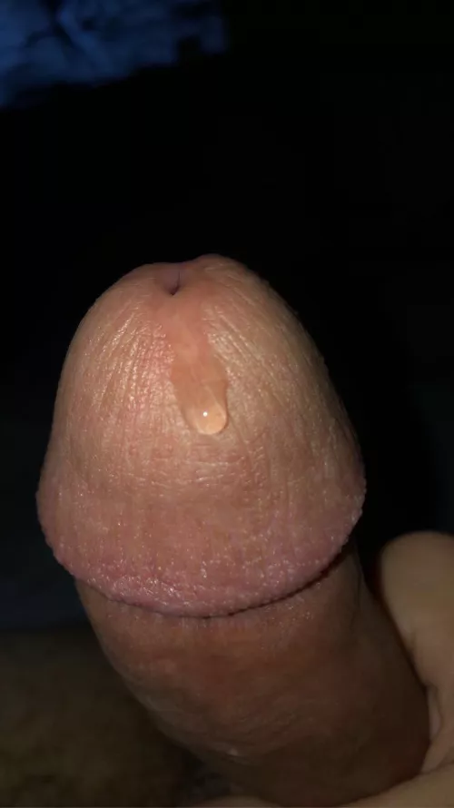 NSFW someone lick it up π