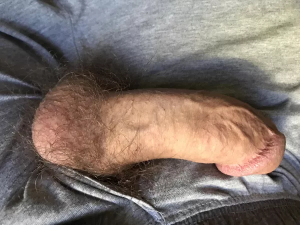 Nuzzle my furry nuts Nuzzle my furry nuts