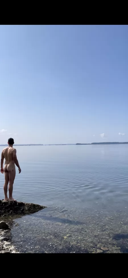 Ocean dip! Ocean dip!